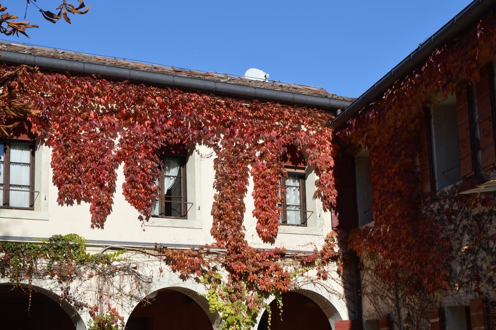 I Giardini Segreti Di Villa Marcello Marinelli Cison di Valmarino Extérieur photo
