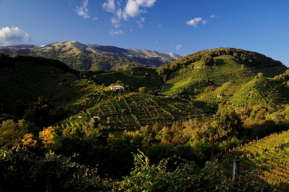 I Giardini Segreti Di Villa Marcello Marinelli Cison di Valmarino Extérieur photo